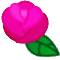rose02.gif[60�~60]