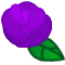 rose03.gif[60�~60]