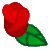 rose51.gif[50�~50]