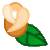 rose55.gif[50�~50]