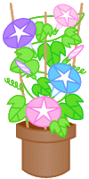 朝顔 イラスト
