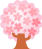 桜　イラスト